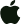 apple store icon